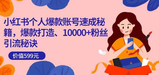 小红书个人爆款账号速成秘籍，爆款打造、10000+粉丝引流秘诀 - 阿伟资源库-阿伟资源库