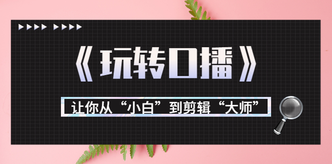 月营业额700万+大佬教您《玩转口播》让你从“小白”到剪辑“大师” - 阿伟资源库-阿伟资源库