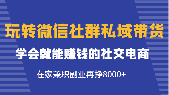 玩转微信社群私域带货，学会就能赚钱的社交电商，在家兼职副业再挣8000+ - 阿伟资源库-阿伟资源库