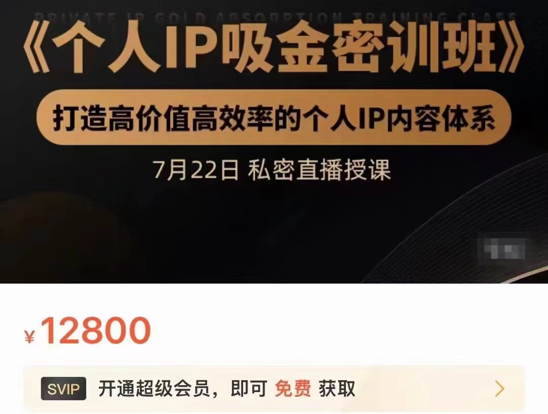 个人IP吸金密训班，打造高价值高效率的个人IP内容体系（价值12800元） - 阿伟资源库-阿伟资源库