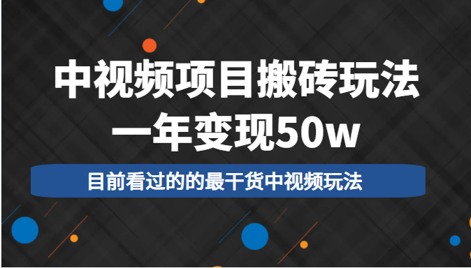 中视频项目搬砖玩法，一年变现50w，目前看过的的最干货中视频玩法 - 阿伟资源库-阿伟资源库