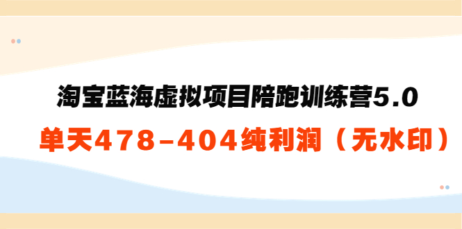 淘宝蓝海虚拟项目陪跑训练营5.0：单天478纯利润 - 阿伟资源库-阿伟资源库