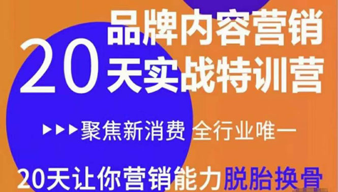 《内容营销实操特训营》20天让你营销能力脱胎换骨（价值3999） - 阿伟资源库-阿伟资源库