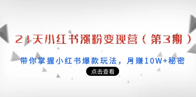 21天小红书涨粉变现营（第3期）：带你掌握小红书爆款玩法，月赚10W+秘密 - 阿伟资源库-阿伟资源库