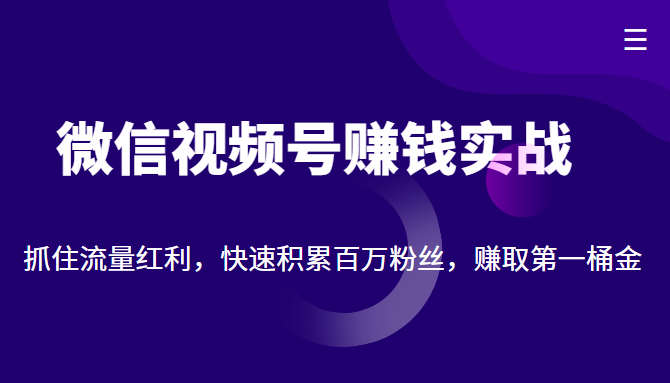 微信视频号赚钱实战：抓住流量红利，快速积累百万粉丝，赚取你的第一桶金 - 阿伟资源库-阿伟资源库