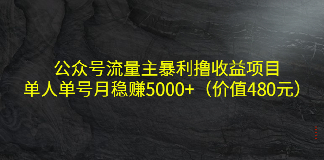 公众号流量主暴利撸收益项目，单人单号月稳赚5000+（价值480元） - 阿伟资源库-阿伟资源库
