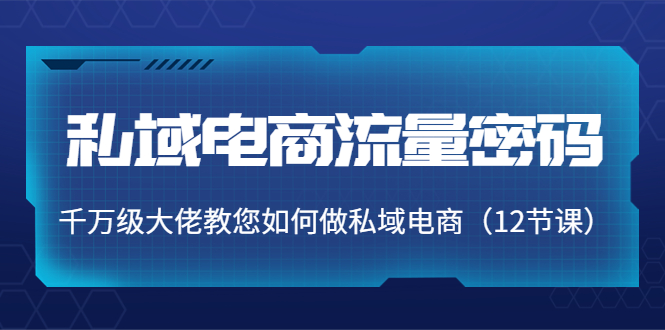私域电商流量密码：千万级大佬教您如何做私域电商（12节课） - 阿伟资源库-阿伟资源库