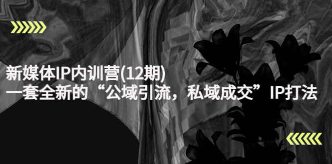 新媒体IP内训营(12期)，一套全新的“公域引流，私域成交”IP打法，直接带走 - 阿伟资源库-阿伟资源库