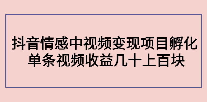 副业孵化营第5期：抖音情感中视频变现项目孵化 单条视频收益几十上百 - 阿伟资源库-阿伟资源库