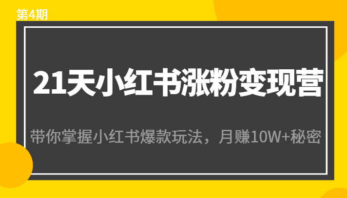 21天小红书涨粉变现营（第4期）：带你掌握小红书爆款玩法，月赚10W+秘密 - 阿伟资源库-阿伟资源库