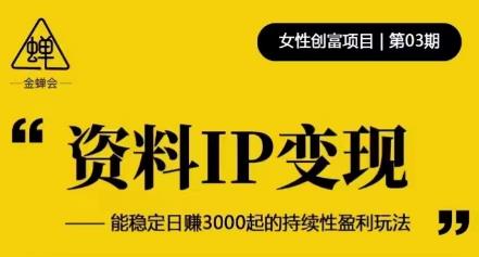 资料IP变现，能稳定日赚3000起的持续性盈利玩法 - 阿伟资源库-阿伟资源库