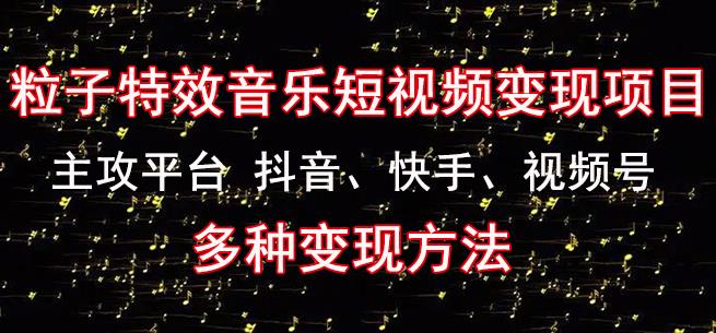 黄岛主《粒子特效音乐短视频变现项目》主攻平台抖音、快手、视频号多种变现方法 - 阿伟资源库-阿伟资源库