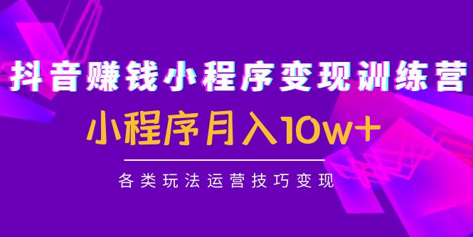抖音赚钱小程序变现训练营：小程序月入10w+各类玩法运营技巧变现 - 阿伟资源库-阿伟资源库