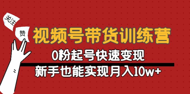 视频号带货训练营：0粉起号快速变现，新手也能实现月入10w+ - 阿伟资源库-阿伟资源库