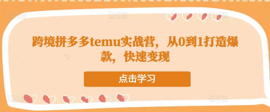 跨境拼多多temu实战营，从0到1打造爆款，快速变现 - 阿伟资源库-阿伟资源库