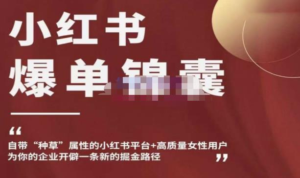 小红书爆单锦囊，自带种草属性+高质量女性用户，为你的企业开辟一条新的掘金路径 - 阿伟资源库-阿伟资源库