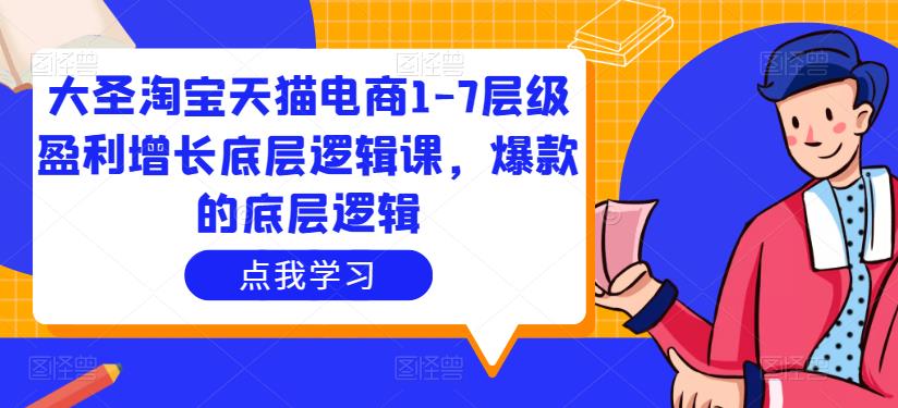 大圣淘宝天猫电商1-7层级盈利增长底层逻辑课，爆款的底层逻辑 - 阿伟资源库-阿伟资源库