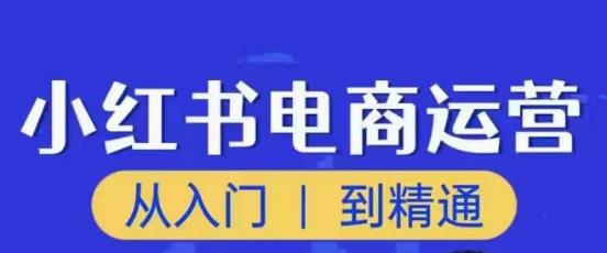 顽石小红书电商高阶运营课程，从入门到精通，玩法流程持续更新 - 阿伟资源库-阿伟资源库