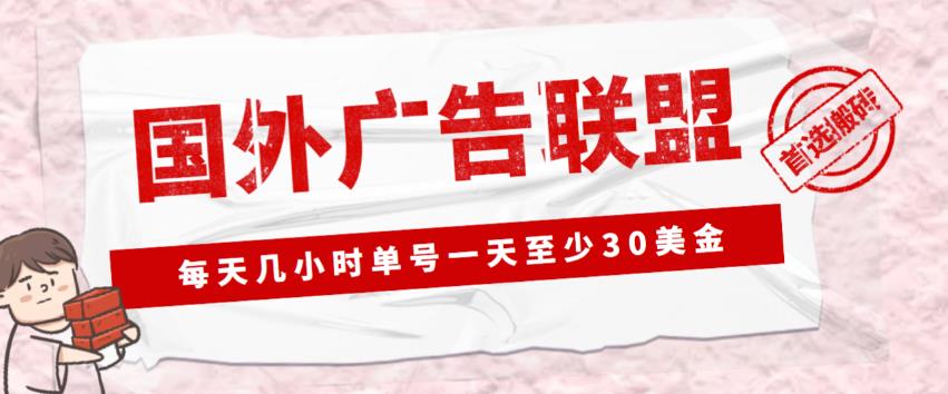 外面收费1980的最新国外LEAD广告联盟搬砖项目，单号一天至少30美金【详细玩法教程】 - 阿伟资源库-阿伟资源库