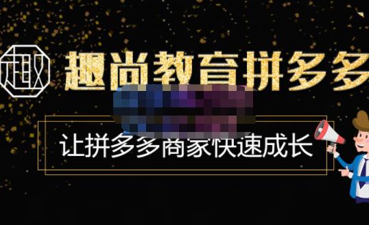 趣尚教育·拼多多运营实操VIP特训营，让拼多多商家快速成长-价值3180元 - 阿伟资源库-阿伟资源库