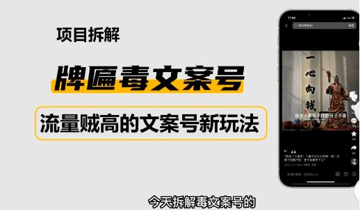 2023抖音快手毒文案新玩法，牌匾文案号，起号快易变现 - 阿伟资源库-阿伟资源库