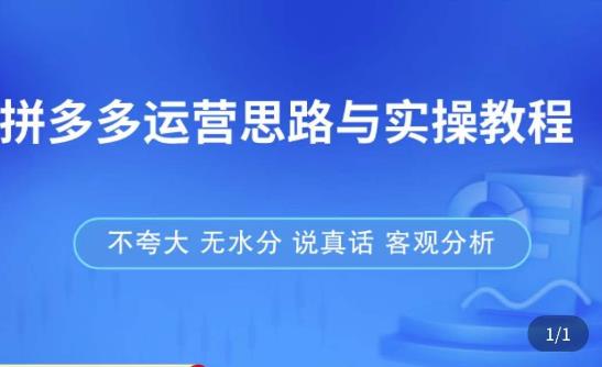 拼多多店铺运营思路与实操教程，快速学会拼多多开店和运营，少踩坑，多盈利 - 阿伟资源库-阿伟资源库