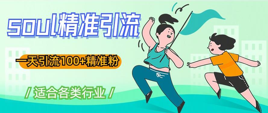 soul精准引流系列课程，一天引流100+精准粉，适合各类行业 - 阿伟资源库-阿伟资源库
