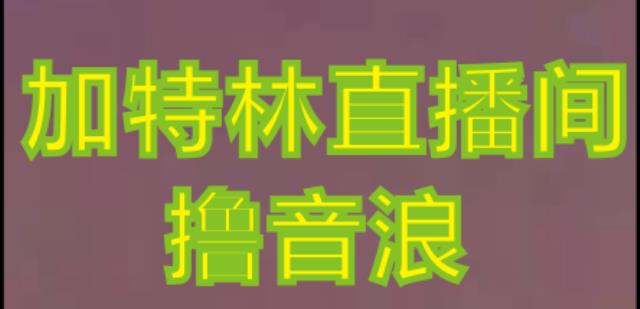 抖音加特林直播间搭建技术，抖音0粉开播，暴力撸音浪，2023新口子，每天800+【素材+详细教程】 - 阿伟资源库-阿伟资源库
