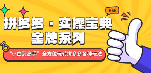 拼多多·实操宝典：金牌系列“小白到高手”带你全方位玩转拼多多各种玩法 - 阿伟资源库-阿伟资源库
