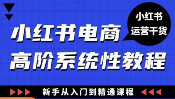 小红书电商高阶系统教程，新手从入门到精通系统课 - 阿伟资源库-阿伟资源库