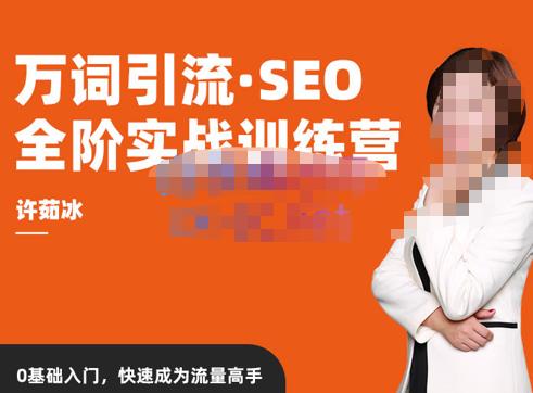 许茹冰·万词引流-SEO全阶实战训练营，0基础入门，快速成为流量高手 - 阿伟资源库-阿伟资源库