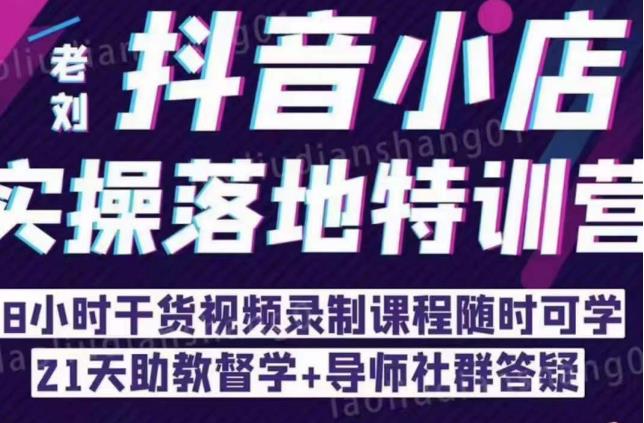 抖音小店实操落地特训营：抖音小店无货源精细化运营，抖店商品卡流量（22节） - 阿伟资源库-阿伟资源库