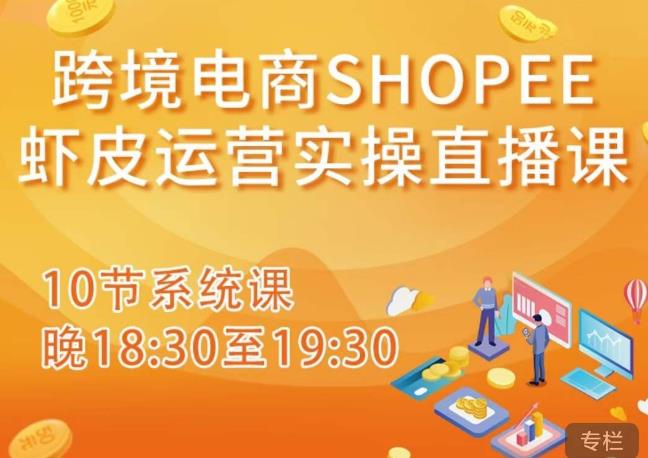 跨境电商Shopee虾皮运营实操直播课，从零开始学，入门到精通（10节系统课） - 阿伟资源库-阿伟资源库