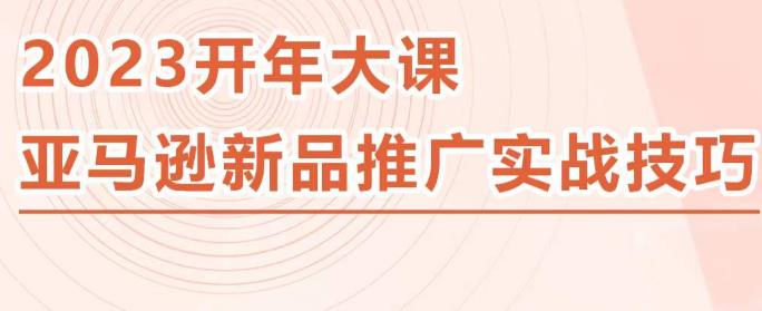 2023亚马逊新品推广实战技巧，线下百万美金课程的精简版，简单粗暴可复制，实操性强的推广手段 - 阿伟资源库-阿伟资源库