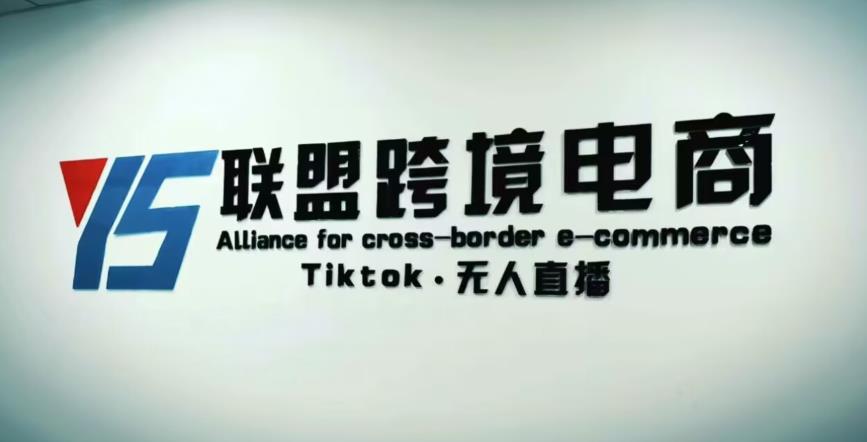 YS联盟·Tiktok无人直播，不出镜不剪辑不拍摄不发货无售后的跨境短视频躺赚玩法 - 阿伟资源库-阿伟资源库