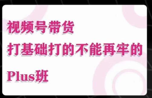 大播汇·视频号带货Puls班，视频号底层逻辑，起号自然流鱼塘等玩法 - 阿伟资源库-阿伟资源库