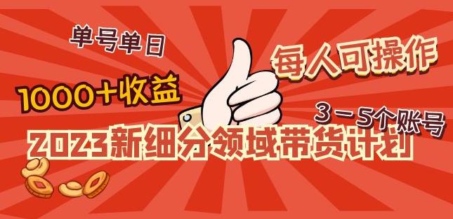 2023新细分领域带货计划：单号单日1000+收益不难，每人可操作3-5个账号 - 阿伟资源库-阿伟资源库