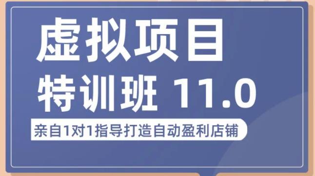 陆明明·虚拟项目特训班（10.0+11.0），0成本获取虚拟素材，0基础打造自动盈利店铺 - 阿伟资源库-阿伟资源库