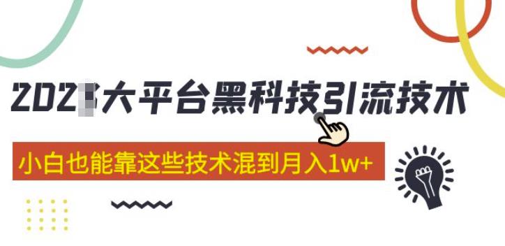 大平台黑科技引流技术，小白也能靠这些技术混到月入1w+(2022年的课程） - 阿伟资源库-阿伟资源库
