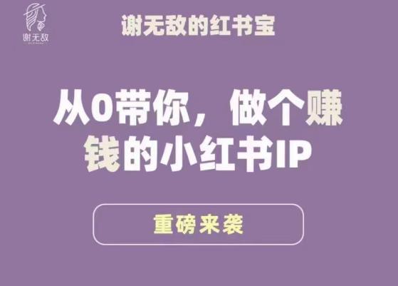 谢无敌·小红书运营大宝典，从0带你做个赚钱的小红书IP - 阿伟资源库-阿伟资源库