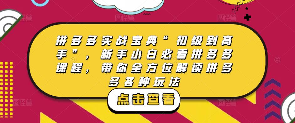 拼多多实战宝典“初级到高手”，新手小白必看拼多多课程，带你全方位解读拼多多各种玩法 - 阿伟资源库-阿伟资源库