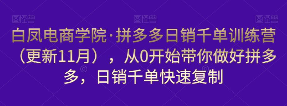白凤电商学院·拼多多日销千单训练营，从0开始带你做好拼多多，日销千单快速复制（更新知2023年3月） - 阿伟资源库-阿伟资源库