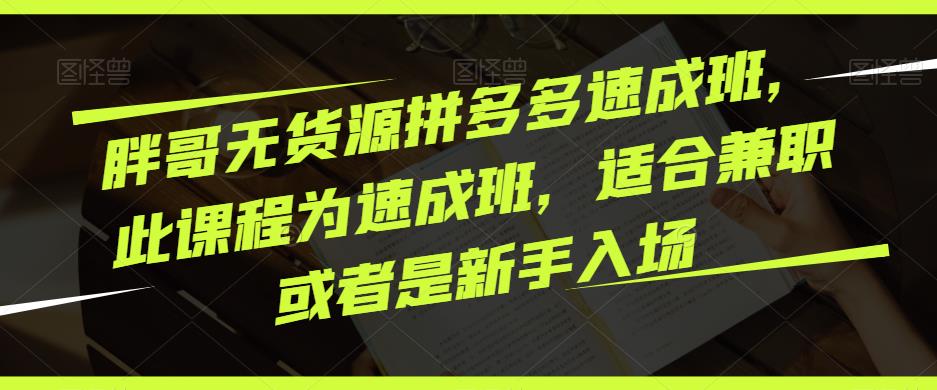 胖哥无货源拼多多速成班，此课程为速成班，适合兼职或者是新手入场 - 阿伟资源库-阿伟资源库