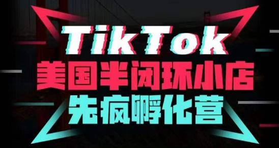 疯人院·TikTok美国半闭环小店孵化营，抢占TikTok美国蓝海市场，开店、运营、带货、投流全实操 - 阿伟资源库-阿伟资源库