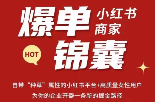 无畏·小红书商家爆单锦囊，掌握小红书各大规则，快速精准抢占行业和市场 - 阿伟资源库-阿伟资源库