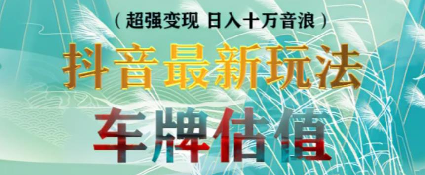 抖音最新无人直播变现直播车牌估值玩法项目，轻松日赚几百+【详细玩法教程】 - 阿伟资源库-阿伟资源库