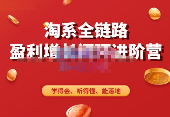 淘系全链路盈利增长闭环进阶营，融合全店动销，学得会、听得懂、能落地！ - 阿伟资源库-阿伟资源库