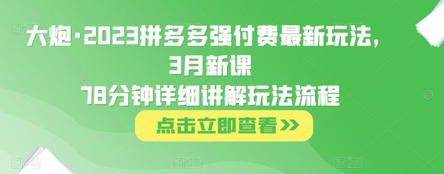大炮·2023拼多多强付费最新玩法，3月新课​78分钟详细讲解玩法流程 - 阿伟资源库-阿伟资源库