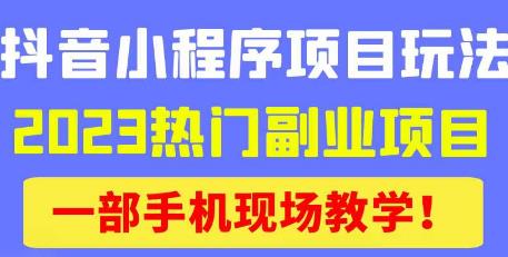 抖音小程序9.0新技巧，2023热门副业项目，动动手指轻松变现 - 阿伟资源库-阿伟资源库