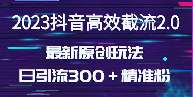 日引300＋创业粉，独家抖音高效截流2.0玩法（价值1280） - 阿伟资源库-阿伟资源库